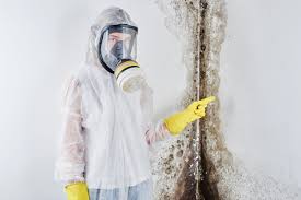 Best Basement Mold Removal  in Conneaut, OH